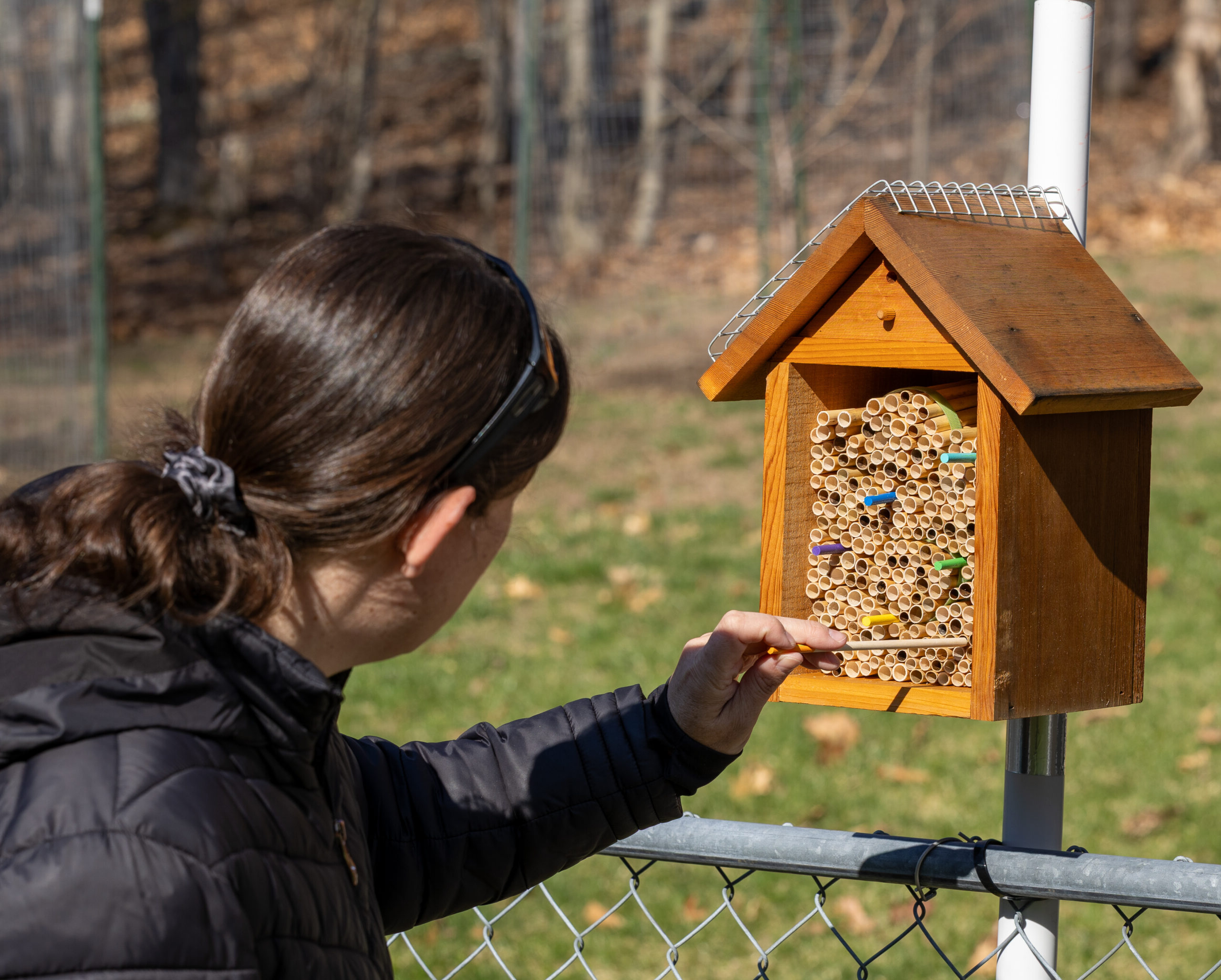Setting Up Your Native Bee House - Five Hearts One Home