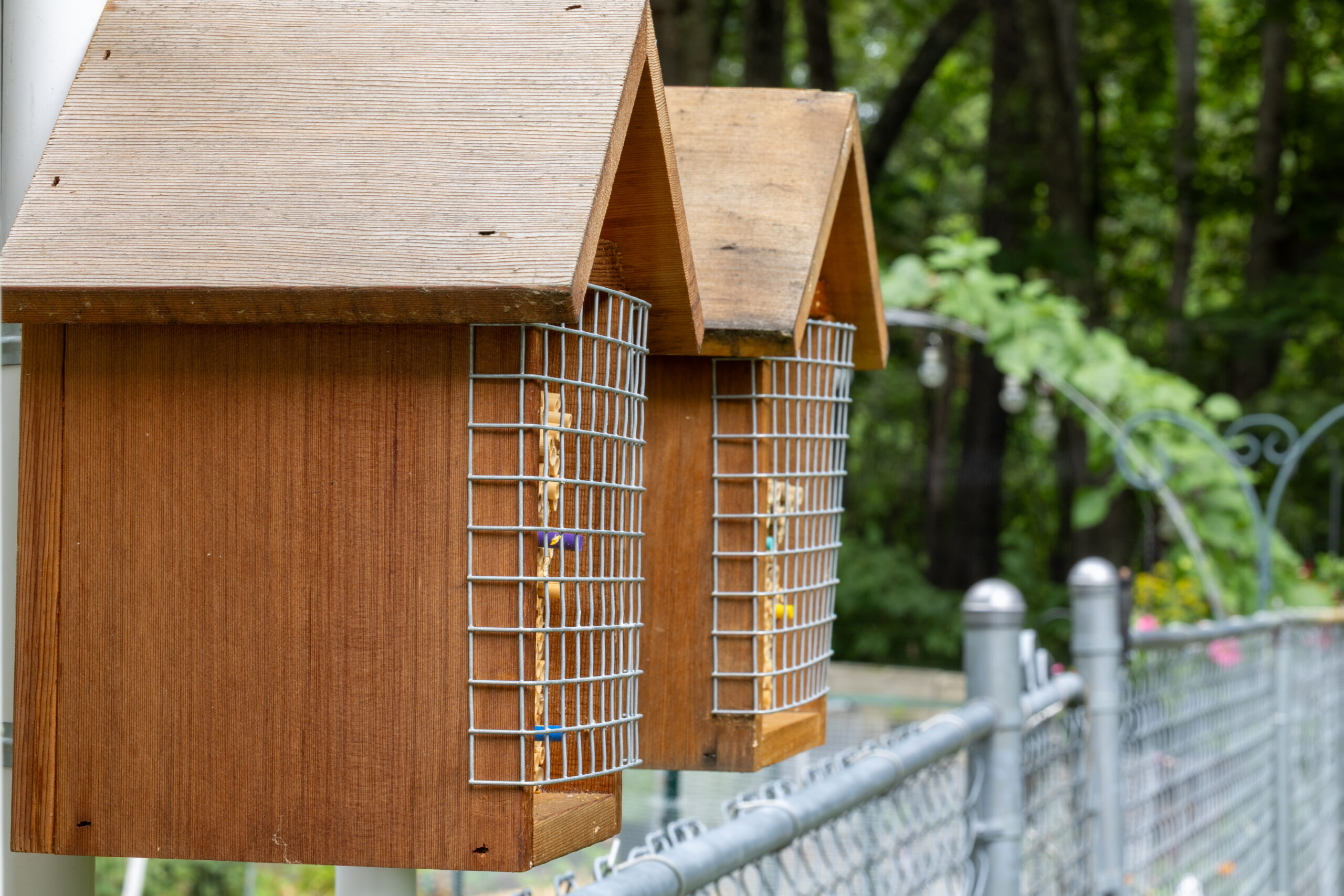Nesting Materials for Native Bees - Five Hearts One Home